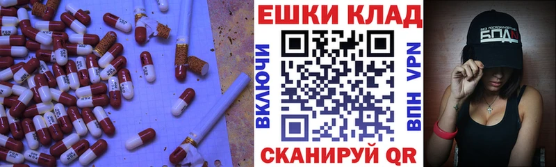 где можно купить наркотик  Аркадак  ЭКСТАЗИ Punisher 