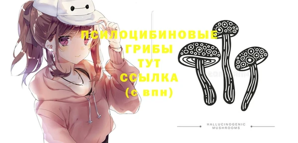 МДМА Алексин