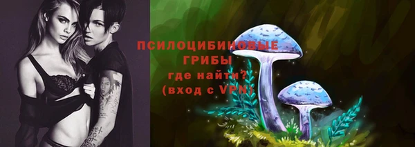 дмт Алексеевка