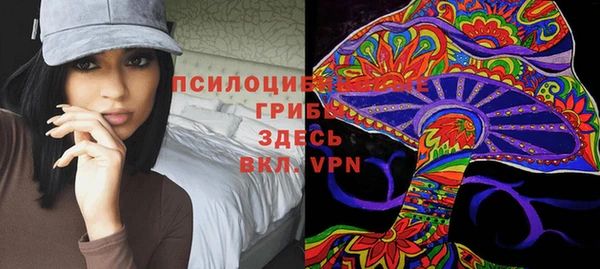 соль ск Саяногорск
