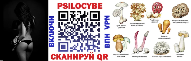Псилоцибиновые грибы Psilocybine cubensis  Аркадак 